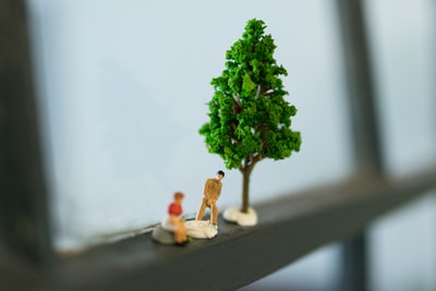 窗上绿树小品旁两个人的选择性聚焦摄影